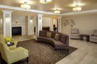 沃靈福德-梅里登Homewood Suites by Hilton - 泳池