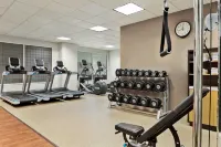 Embassy Suites by Hilton Columbus Dublin - Gym
