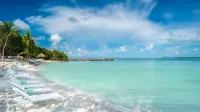 Baker's Cay Resort Key Largo, Curio Collection by Hilton - Bãi đậu xe