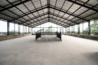 Shencasa Living Juanda - Wifi