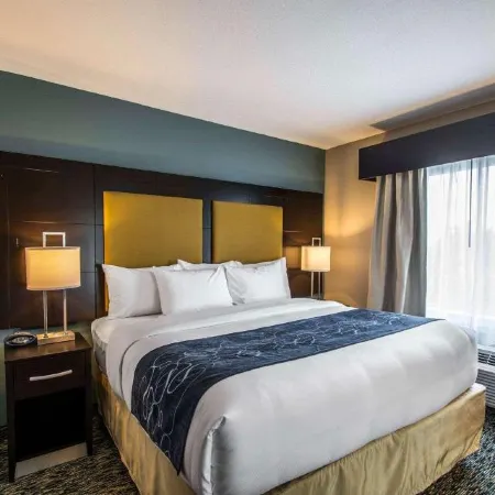 Comfort Suites Fort Lauderdale Airport South & Cruise Port