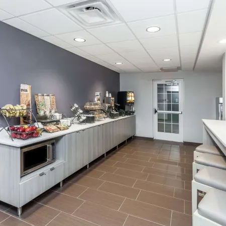 Microtel Inn & Suites by Wyndham West Fargo Medical Center