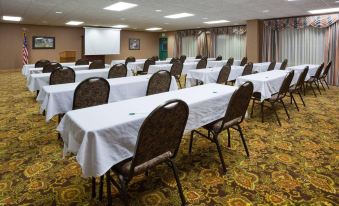 Country Inn & Suites by Radisson, Duluth North, MN