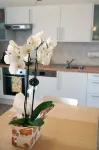 Apartments "i Ciclamini" a Moniga del Garda 2 - 3 Yıldız