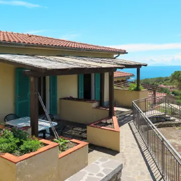 Oasis 1