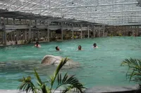 โรงแรมบ่อน้ำพุร้อน ตั่วล่าซานเสิ่น - ที่มีสระว่ายน้ำ