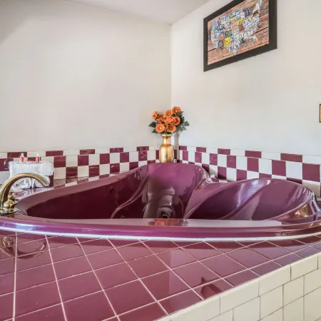 Econo Lodge Inn & Suites Macon West