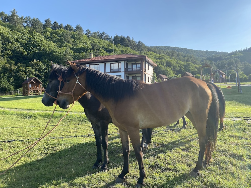 Mengen Ruya Ciftligi Hotel