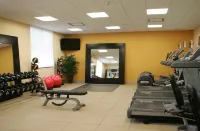 Hampton Inn by Hilton Toronto Airport Corporate Centre - Gym