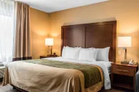 Comfort Inn Lancaster County Hotels in Marietta