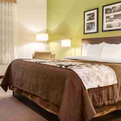 Sleep Inn & Suites Metairie Rooms