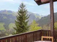 Chalet les Pitchounes Hotels in Gruyeres