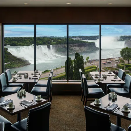 THE BROCK NIAGARA FALLS FALLSVIEW, TAPESTRY BY HILTON Отели рядом с достопримечательностью «Птичье Королевство»