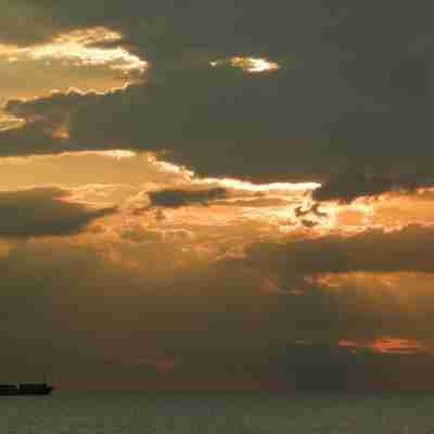 日吉苑友翰飯店 Others