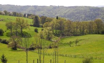 Le Plateau de la Danse