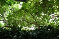 Hotel la Principessa