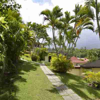 Hotel - Résidence Habitation Grande Anse Hotel Exterior