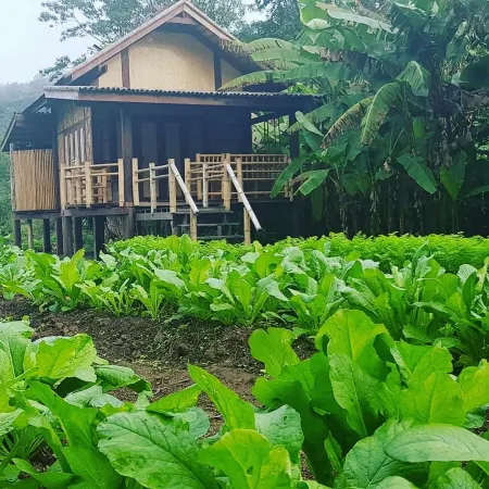 Namkat Yorla Pa Resort Отели в г. Бан Кэт