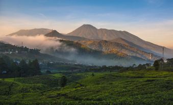 Asyana Sentul Bogor