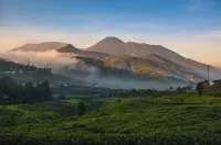 Rumah Awan Bogor with Private Swimming Pool Hotels in Babakan Madang