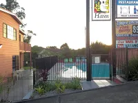 Riverview Motor Inn - Pools