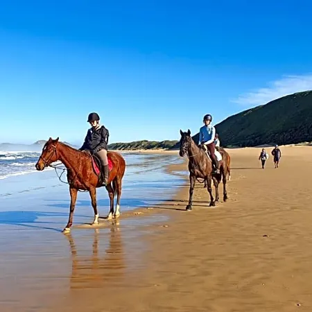 Brenton Haven Beachfront Resort
