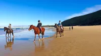 Brenton Haven Beachfront Resort - en bord de mer