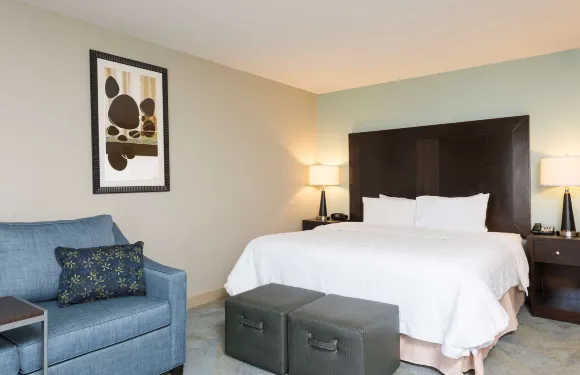 希爾頓歡朋酒店-底特律羅斯維爾