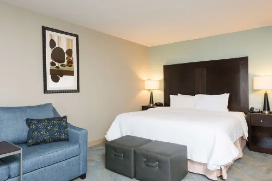 希爾頓歡朋飯店-底特律羅斯維爾