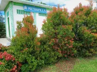 AmaRis Homestay