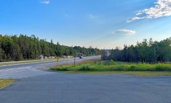 Lively Inn and Suites - Sudbury