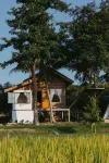 Baanfanglamoon Hotels in Fang
