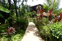 Mame Trees Hotels in 