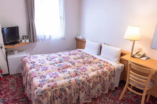 Daily Hotel Niiza Hotels in Asaka