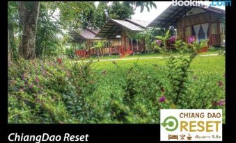 Chiang Dao Reset