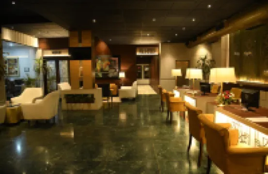 機場中心站酒店 那格浦爾酒店