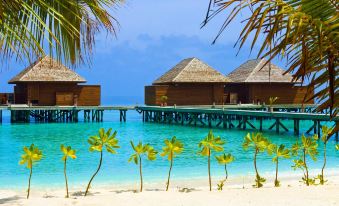 Tranquila Maldives