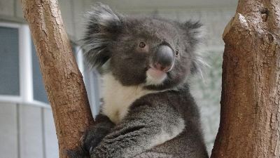 ホテル周辺 ホテル＆リゾーツ 南淡路の写真