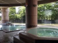 Sunhills Hotel - Hot Springs