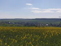 Pension Zum Adler