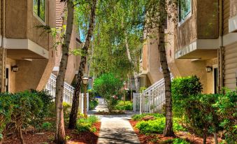 Residence Inn San Jose Campbell