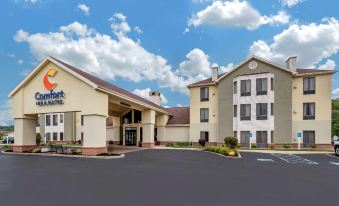 Comfort Inn & Suites Warsaw Near US-30