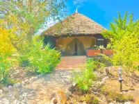 Explore Mara Camp Hotels in Сиана