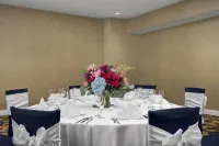 DoubleTree by Hilton Chicago O'Hare Airport-Rosemont - Parkplatz