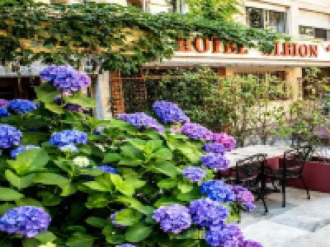 Hôtel Albion Hôtels à : Ajaccio