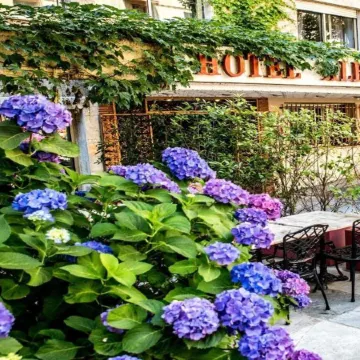 Hôtel Albion