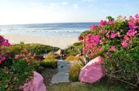 Las Alamandas - Beach