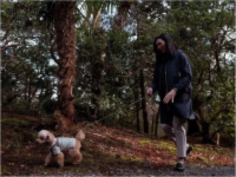 ฮาโกเนะ โควาคิเอ็ง มิยามะฟุริน โรงแรมในฮาโกเน่