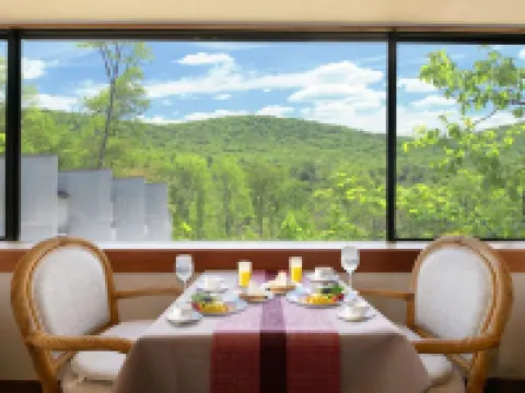 The Hotel Fujiyama