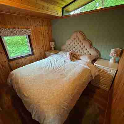 11 Tan-y-Coed Woodland Lodge Rooms